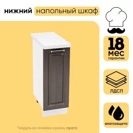 Шкаф нижний СМ с 1 створкой ШН 300